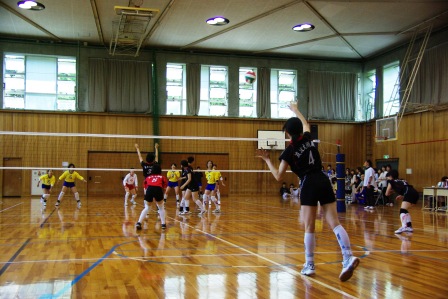 volleyball