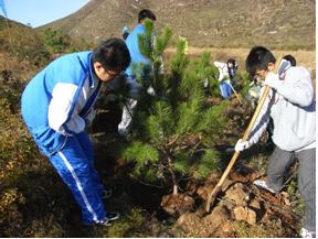 万里の長城にて植樹活動