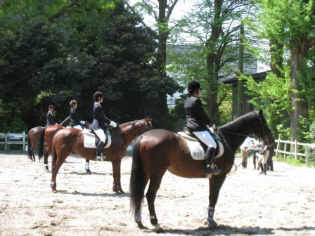馬術部 馬術部