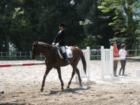 馬術部 馬術部